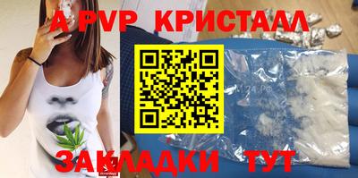 кокс Кингисепп