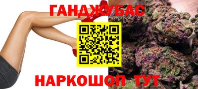 кокс Кингисепп