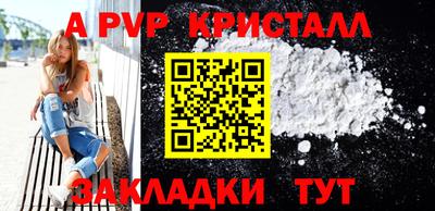 кокс Кингисепп