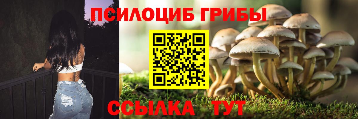 Галлюциногенные грибы Psilocybine cubensis  Вход с VPN  Чернушка 