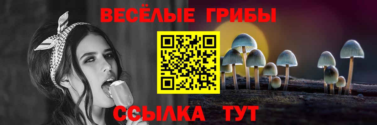 Псилоцибиновые грибы MAGIC MUSHROOMS Чернушка